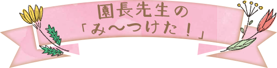 園長だより